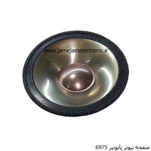 صفحه تیوتر پایونیر 6975 + دام